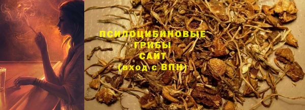 дмт Алексин